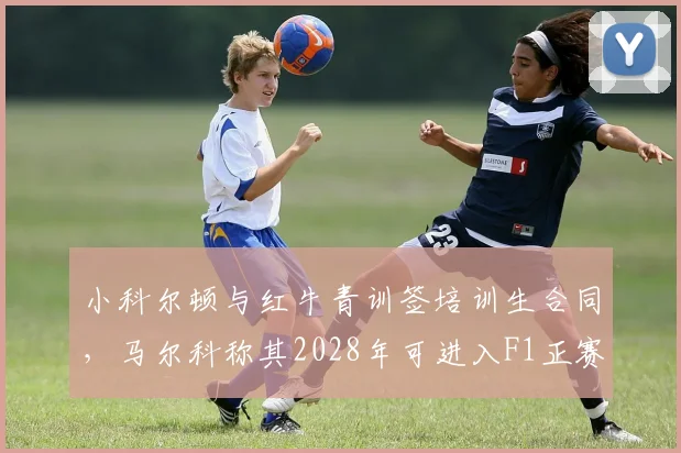 小科尔顿与红牛青训签培训生合同，马尔科称其2028年可进入F1正赛席位争夺